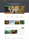 Image for Image for Gelia - Responsive HTML Template