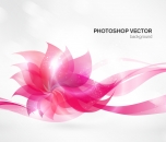 Image for Light Photo Backgrounds - 30018