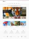 Image for Swilly - Responsive Web Template